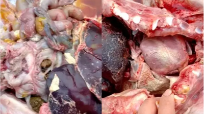 “小病”副豬，惹出的大麻煩！試試上海邦森提供的用藥方案