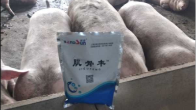 上海邦森肌骨豐豬場提高效益的有效方法，獲得客戶的認(rèn)可
