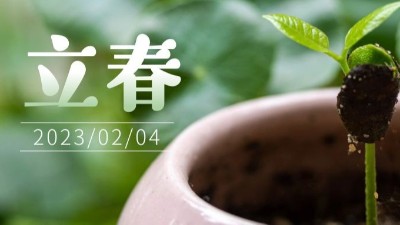 春氣始，萬物生-立春-上海邦森